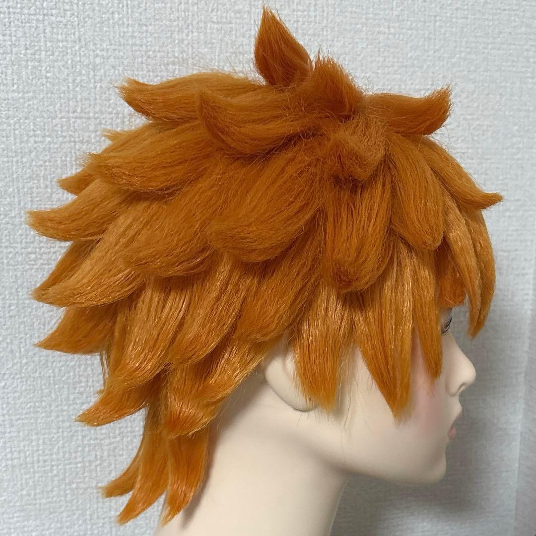 ハイキュー コスプレ ウィッグ 日向翔陽