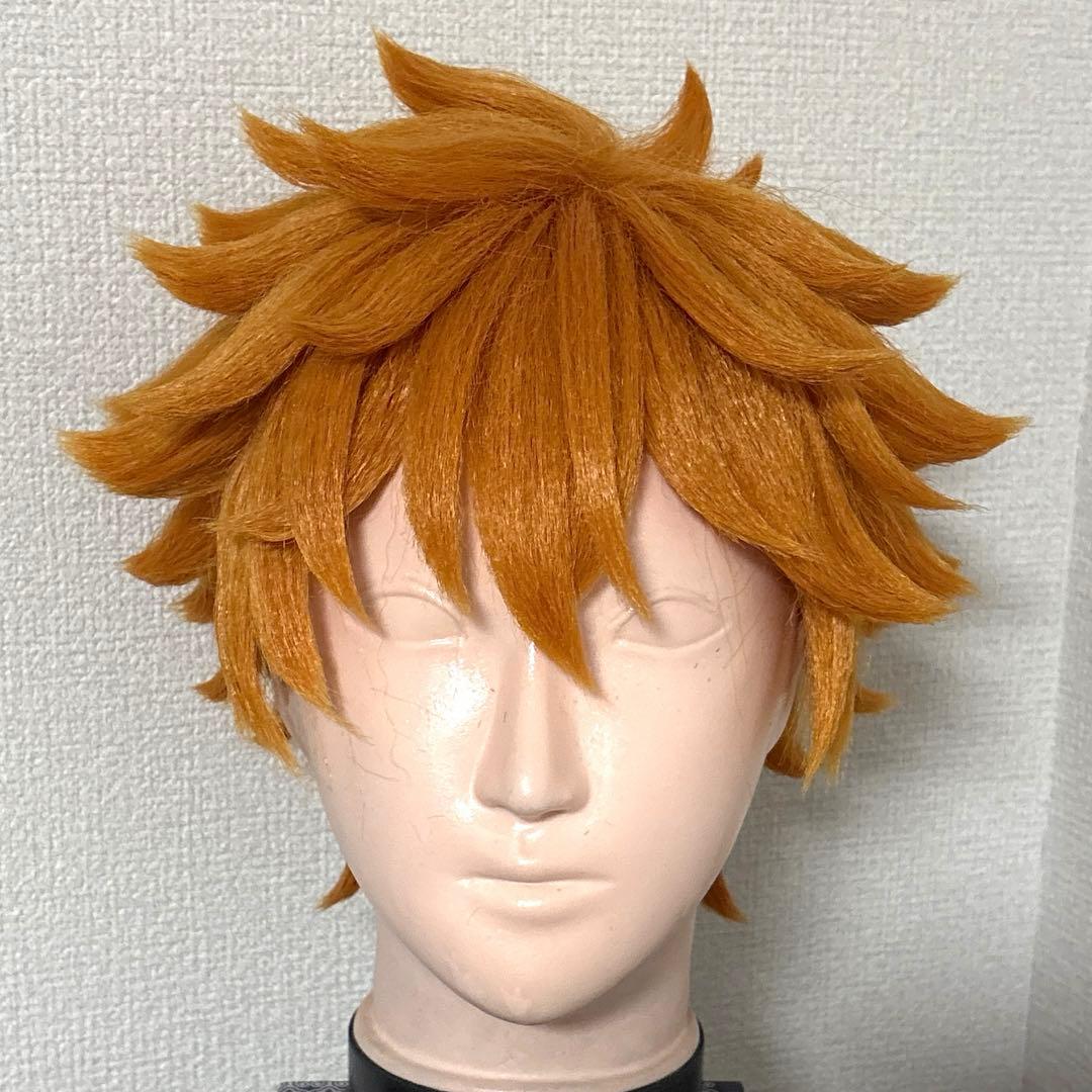ハイキュー コスプレ ウィッグ 日向翔陽