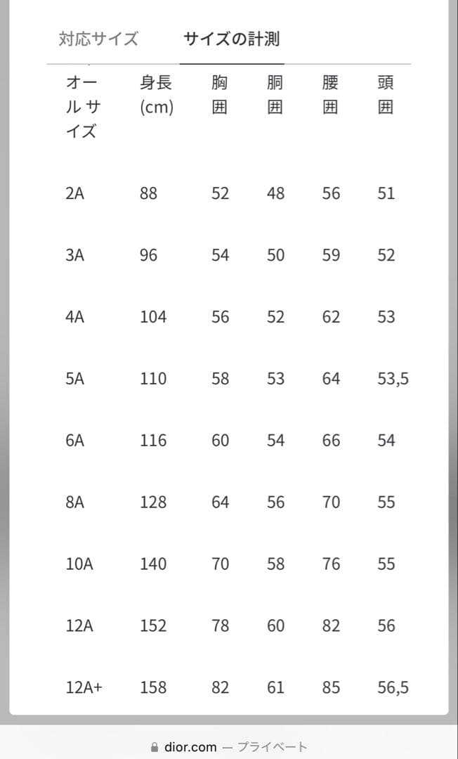 クリスチャンディオール　トップス　Tシャツ