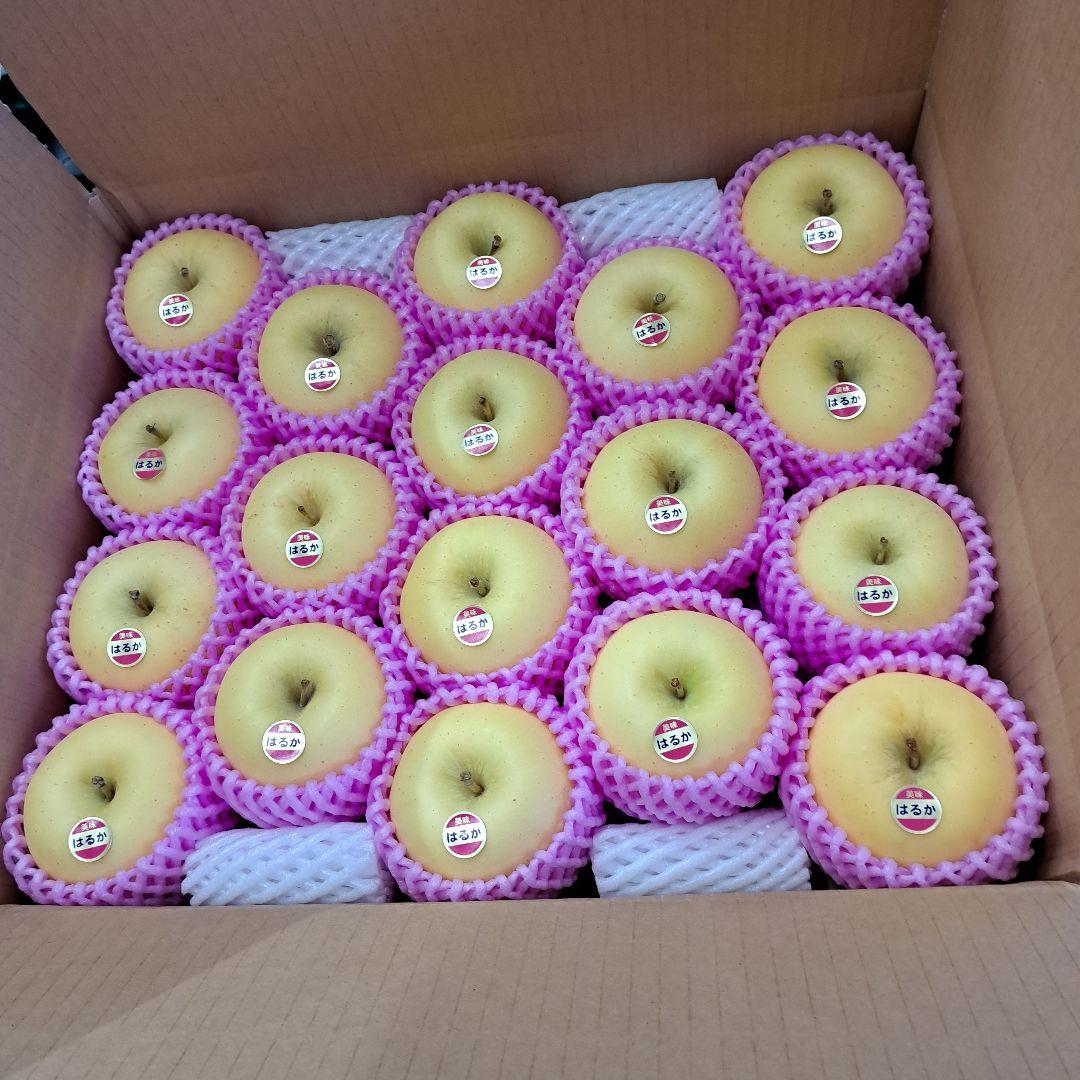 はるかりんご贈答用小玉　5キロ箱 2箱セット