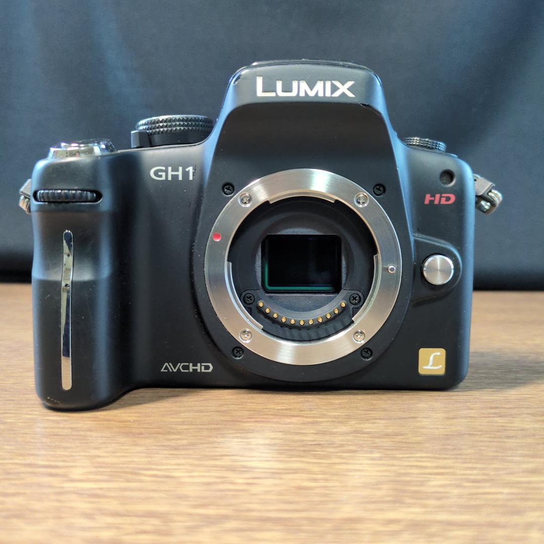 Panasonic LUMIX GH1 ボディ ブラック【動作品】箱付き