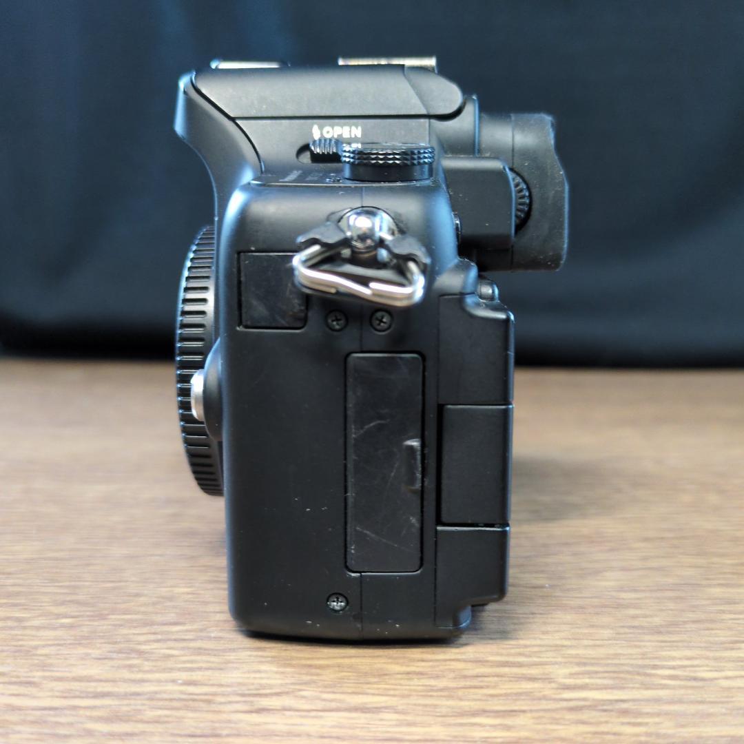 Panasonic LUMIX GH1 ボディ ブラック【動作品】箱付き