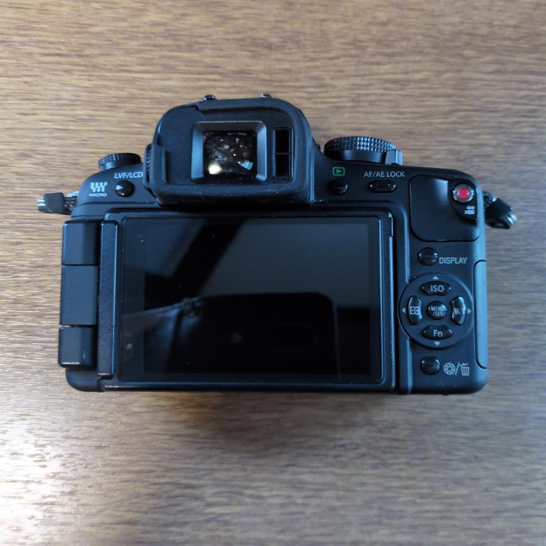 Panasonic LUMIX GH1 ボディ ブラック【動作品】箱付き
