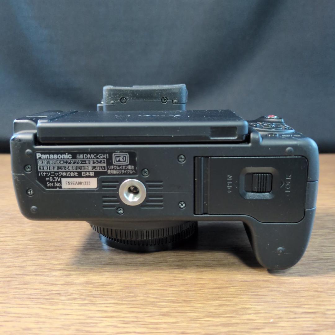Panasonic LUMIX GH1 ボディ ブラック【動作品】箱付き