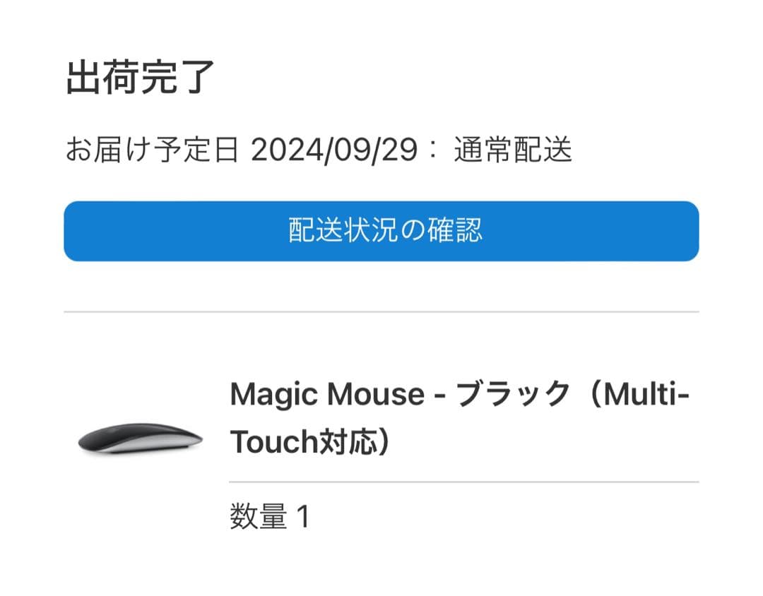 美品 Apple Magic Mouse ブラック 箱・説明書付