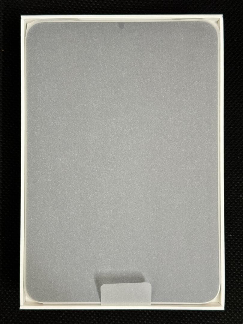 iPad mini A17 Pro 7世代 8.3インチ Wi-Fi 256GB