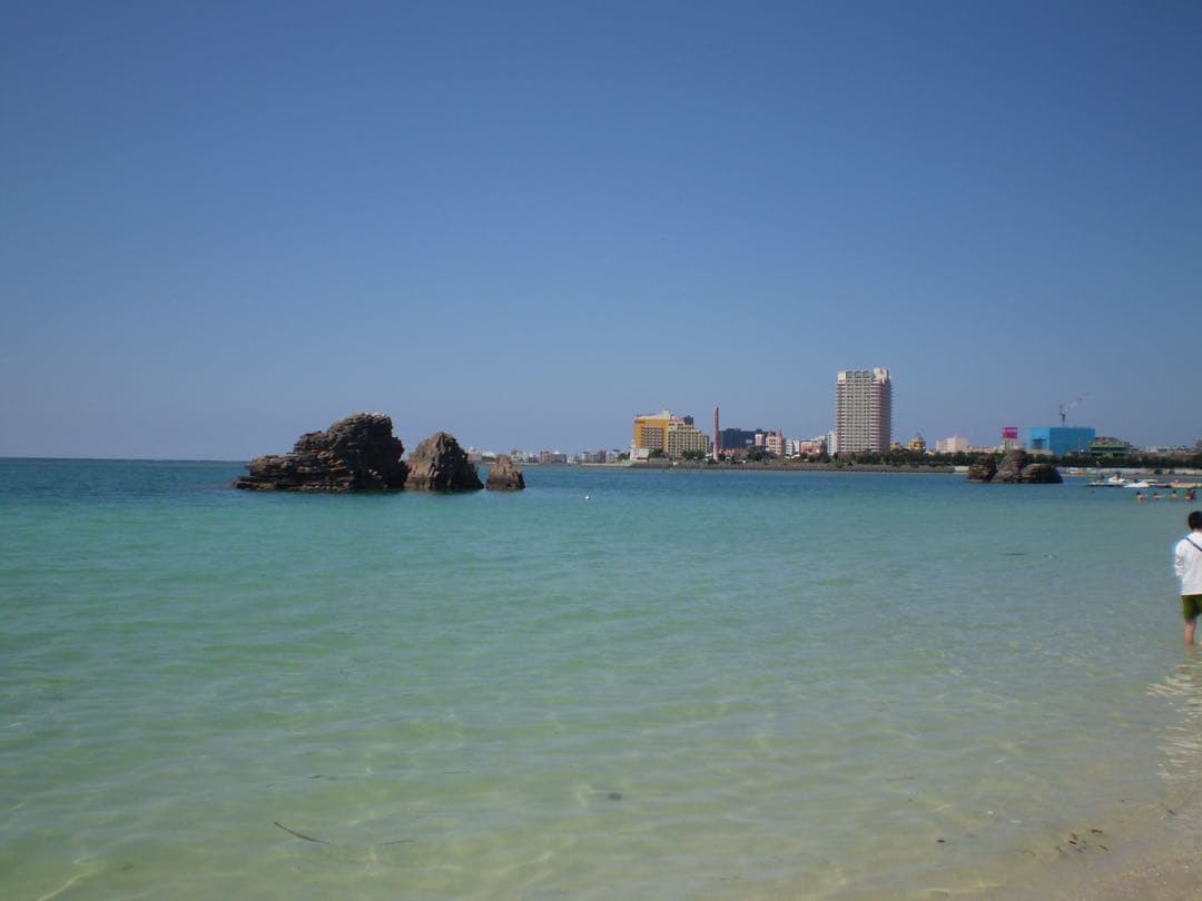 【動作確認済み】OLYMPUS FE-220 本体のみ