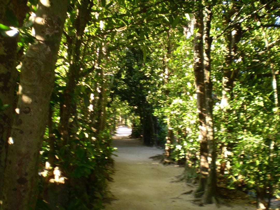 【動作確認済み】OLYMPUS FE-220 本体のみ