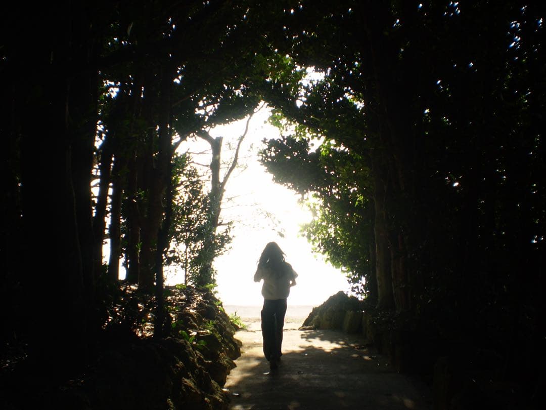 【動作確認済み】OLYMPUS FE-220 本体のみ