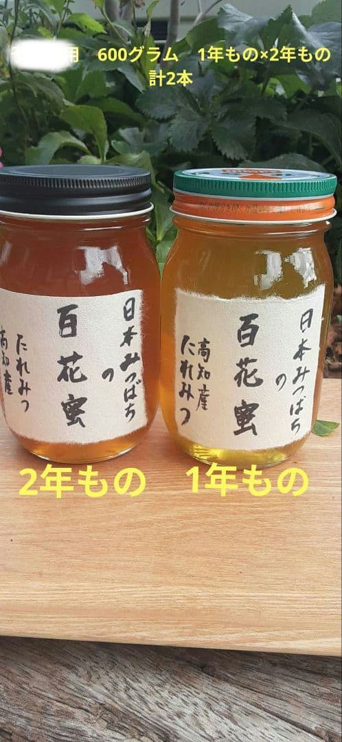 日本ミツバチ 蜂蜜 令和7年 採れたて 600g×2本　味比べ たれ蜜 非加熱