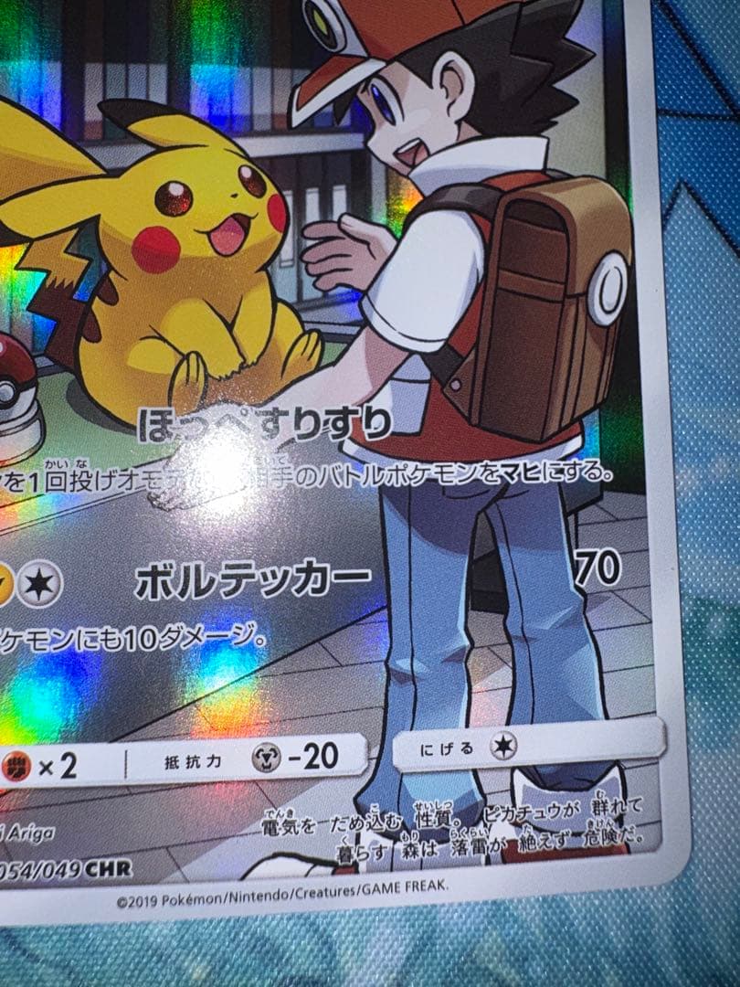 確認用（ご購入された場合愛犬かチベットスナギツネの写真を送ります）