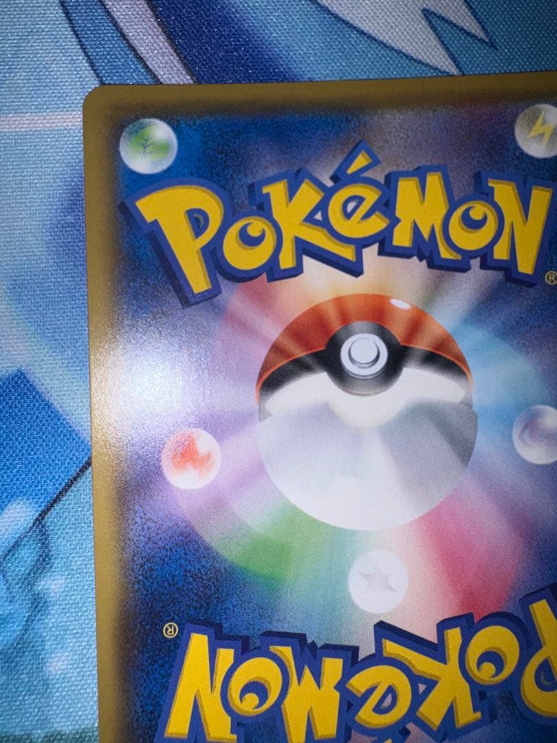 確認用（ご購入された場合愛犬かチベットスナギツネの写真を送ります）