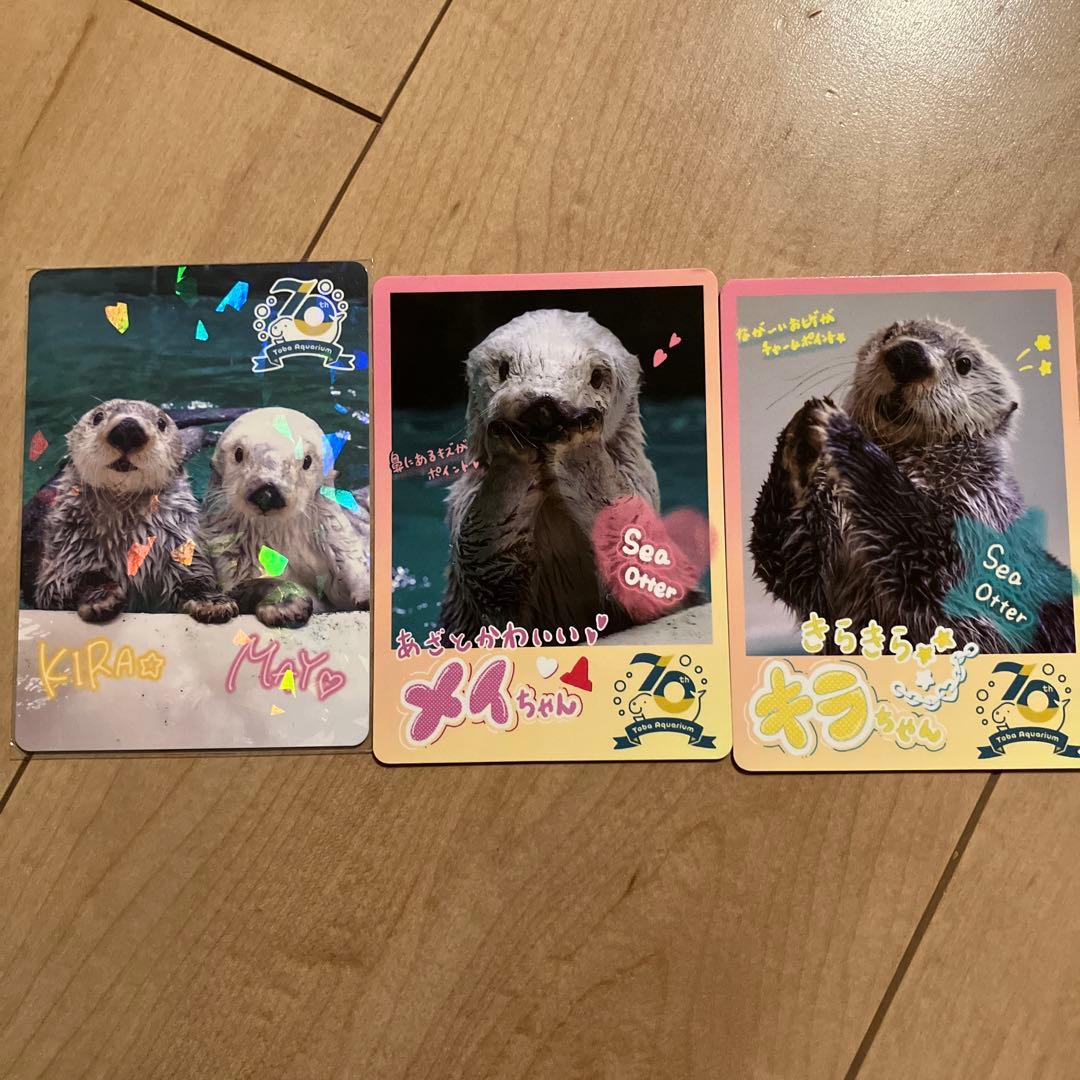 鳥羽水族館コレクションカード　キラメイ