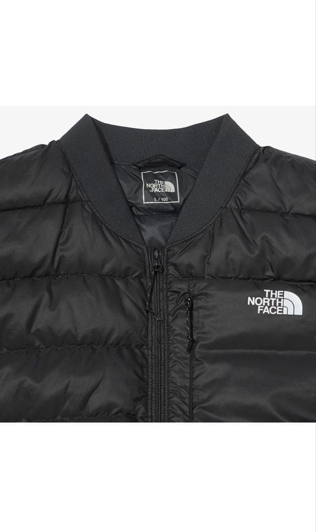 ノースフェイス ダウンベスト TECH PACK DOWN VEST アクティブ