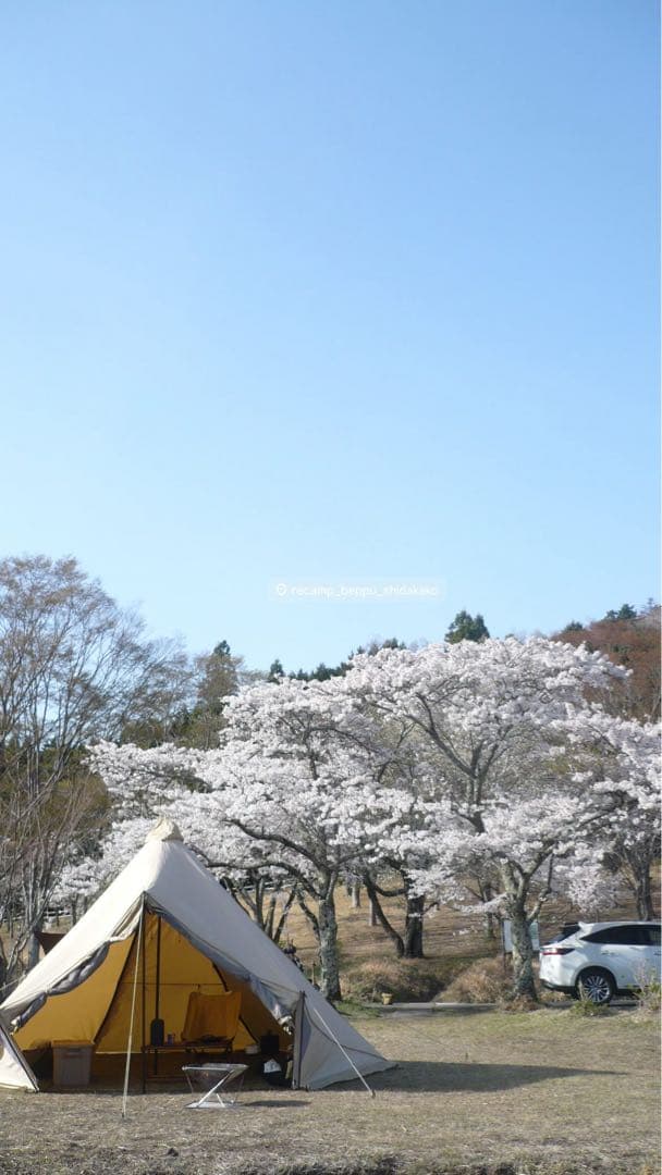 サバティカル　モーニンググローリーtc (インナーテント付き)