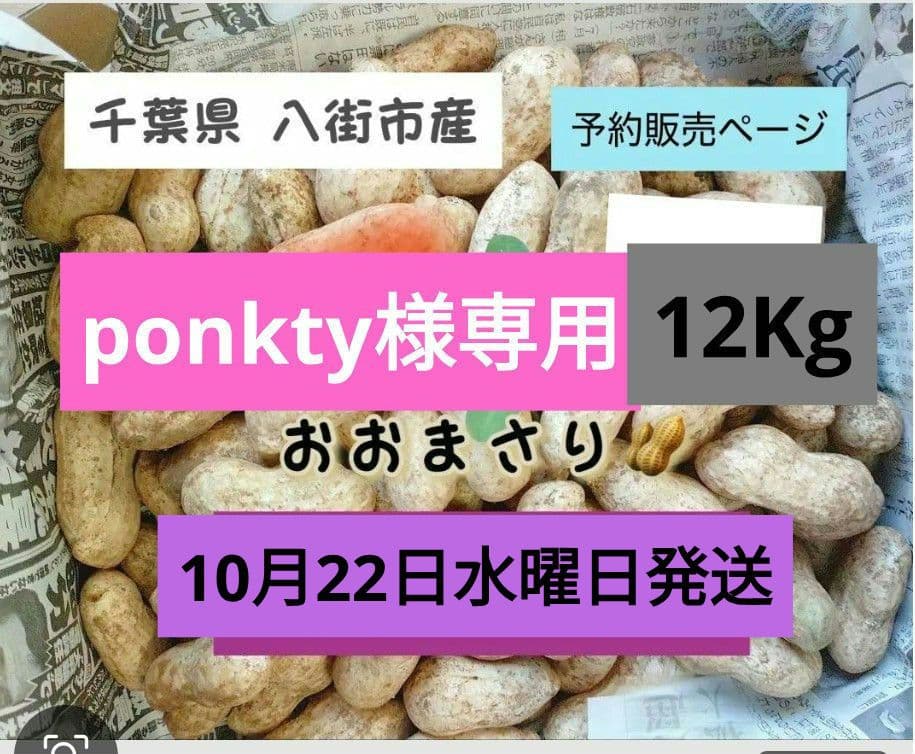 千葉県　八街産　掘りたて　おおまさり　生落花生　12Kg