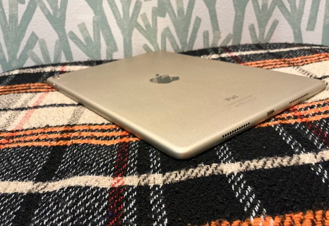 美品 iPad Pro A1673 本体 256GB 9.7インチ WiFi