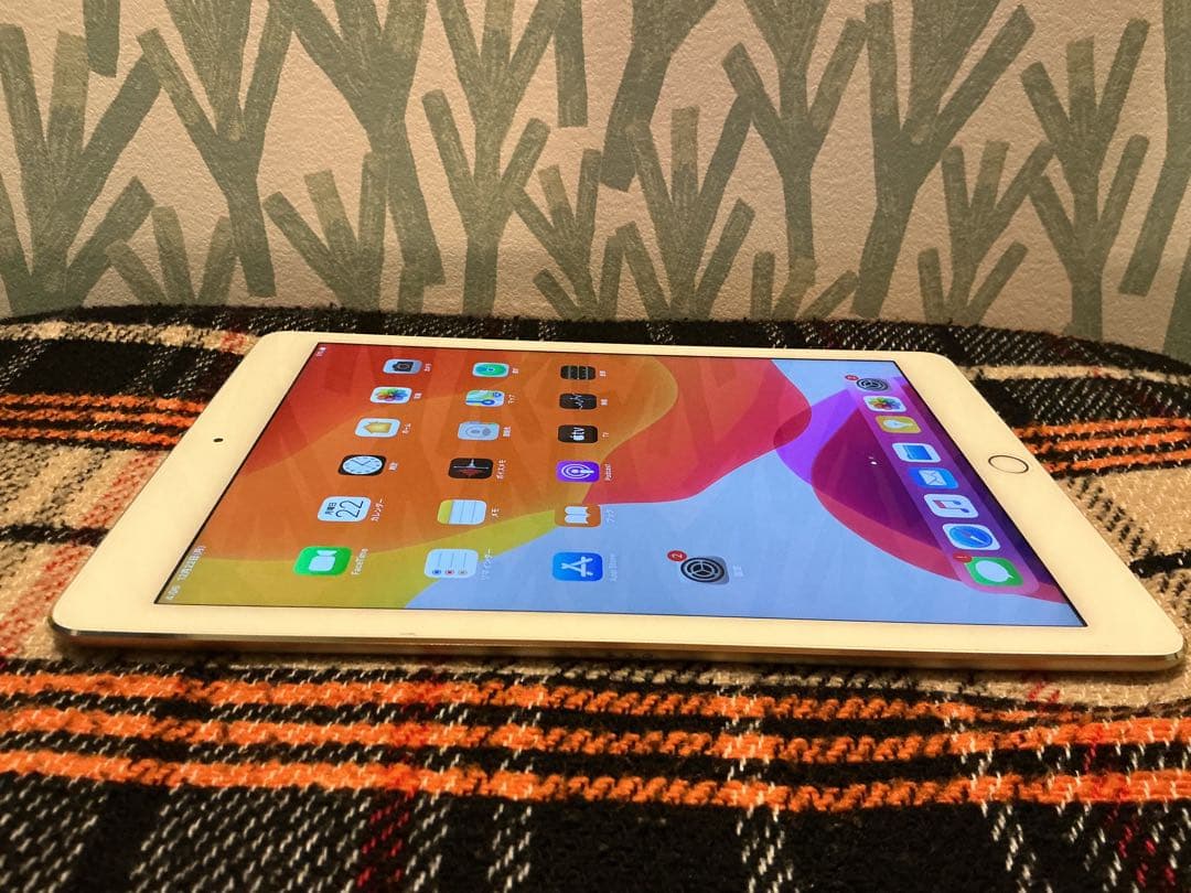 美品 iPad Pro A1673 本体 256GB 9.7インチ WiFi