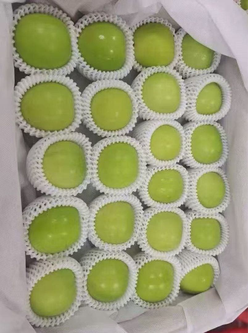 534.新鮮台湾ナツメ　台湾青棗 约2.5kg前後(１８~24玉)玉数お任せ