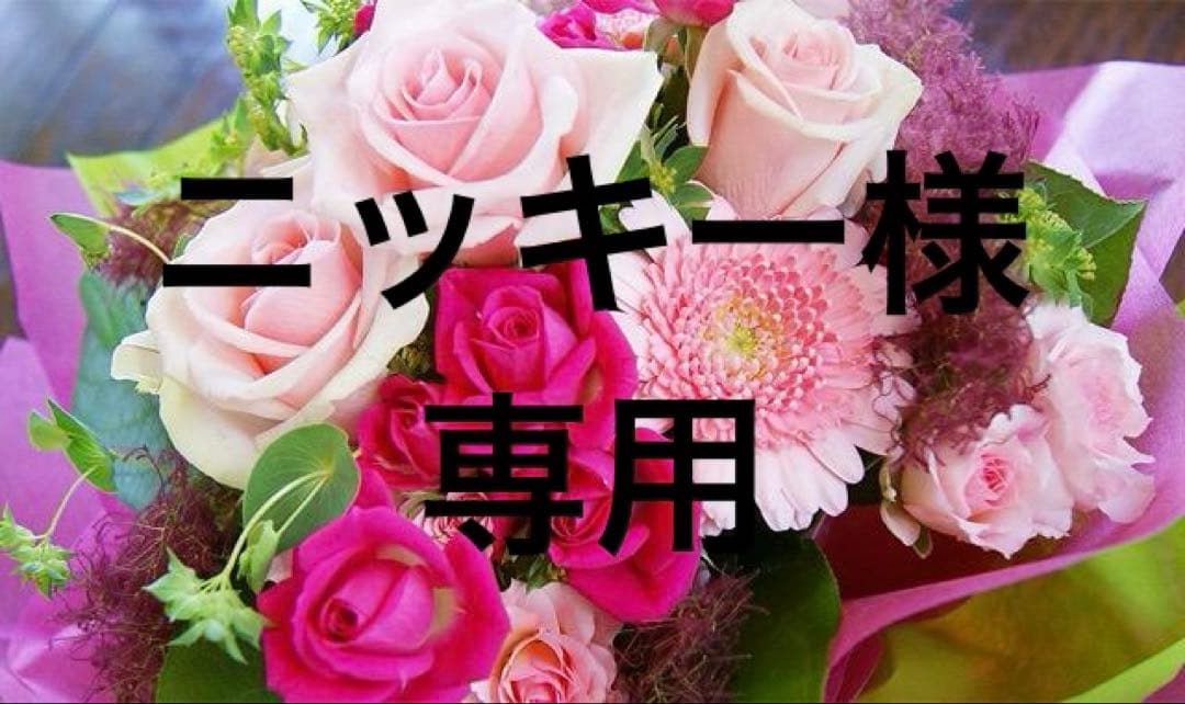 ニッキー252スエード調B（L.KH）・239②・245(BL)