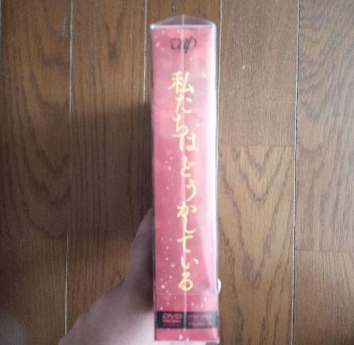 新品未開封 私たちはどうかしている DVD-BOX〈5枚組〉