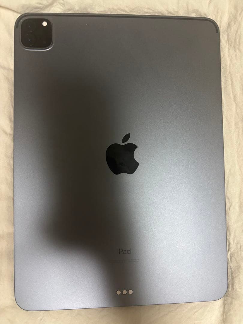 【ひめ】iPad Pro (11インチ) 第2世代 128GB