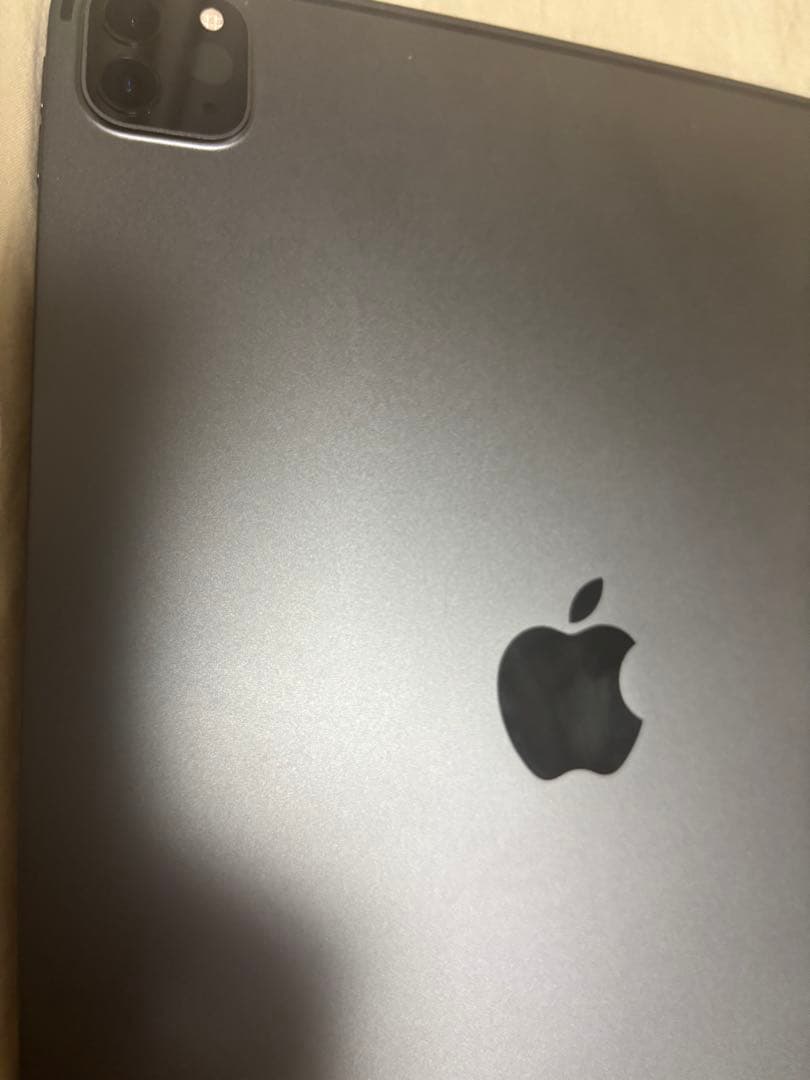 【ひめ】iPad Pro (11インチ) 第2世代 128GB