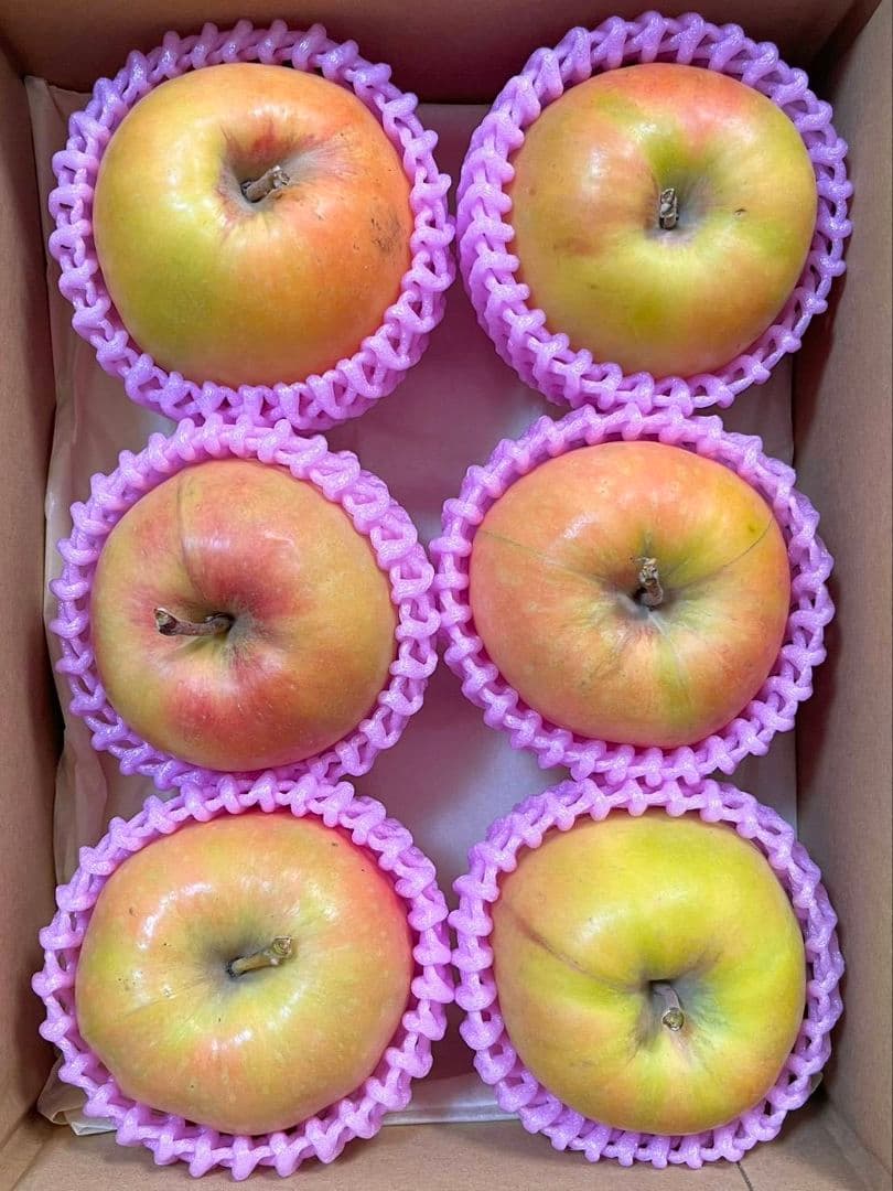 スカーレットさん専用