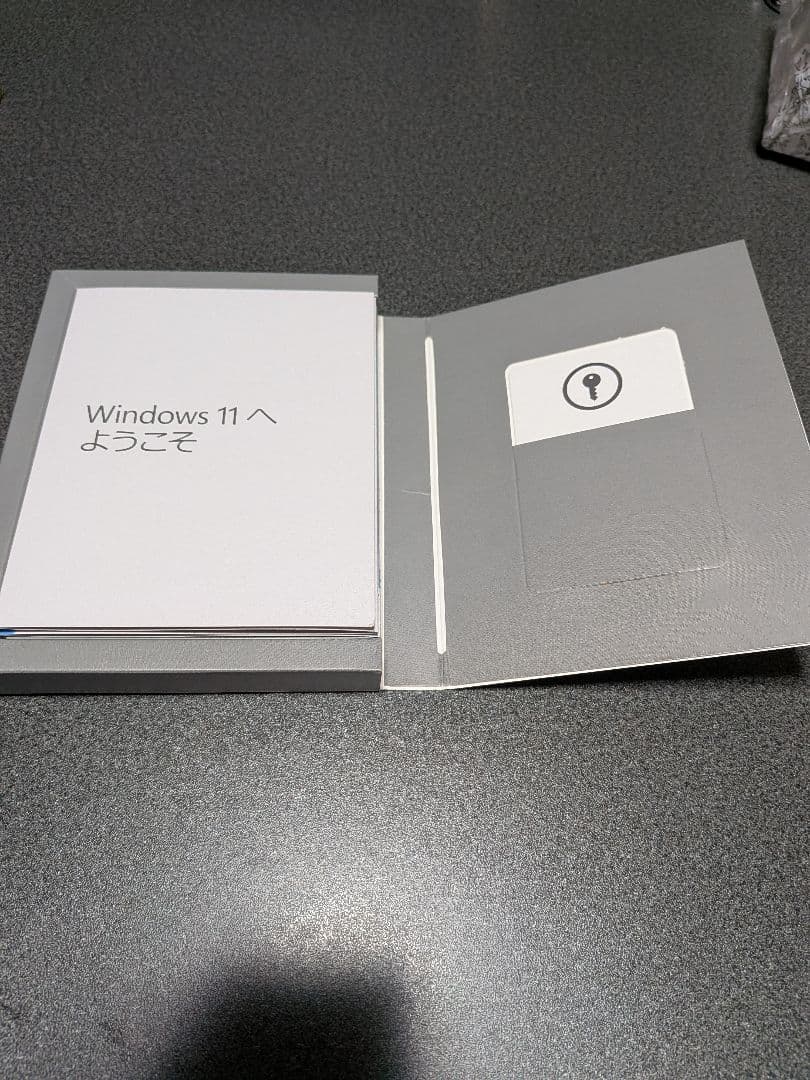 crucial P3Plus M.2 2280 1000GB＆windows11