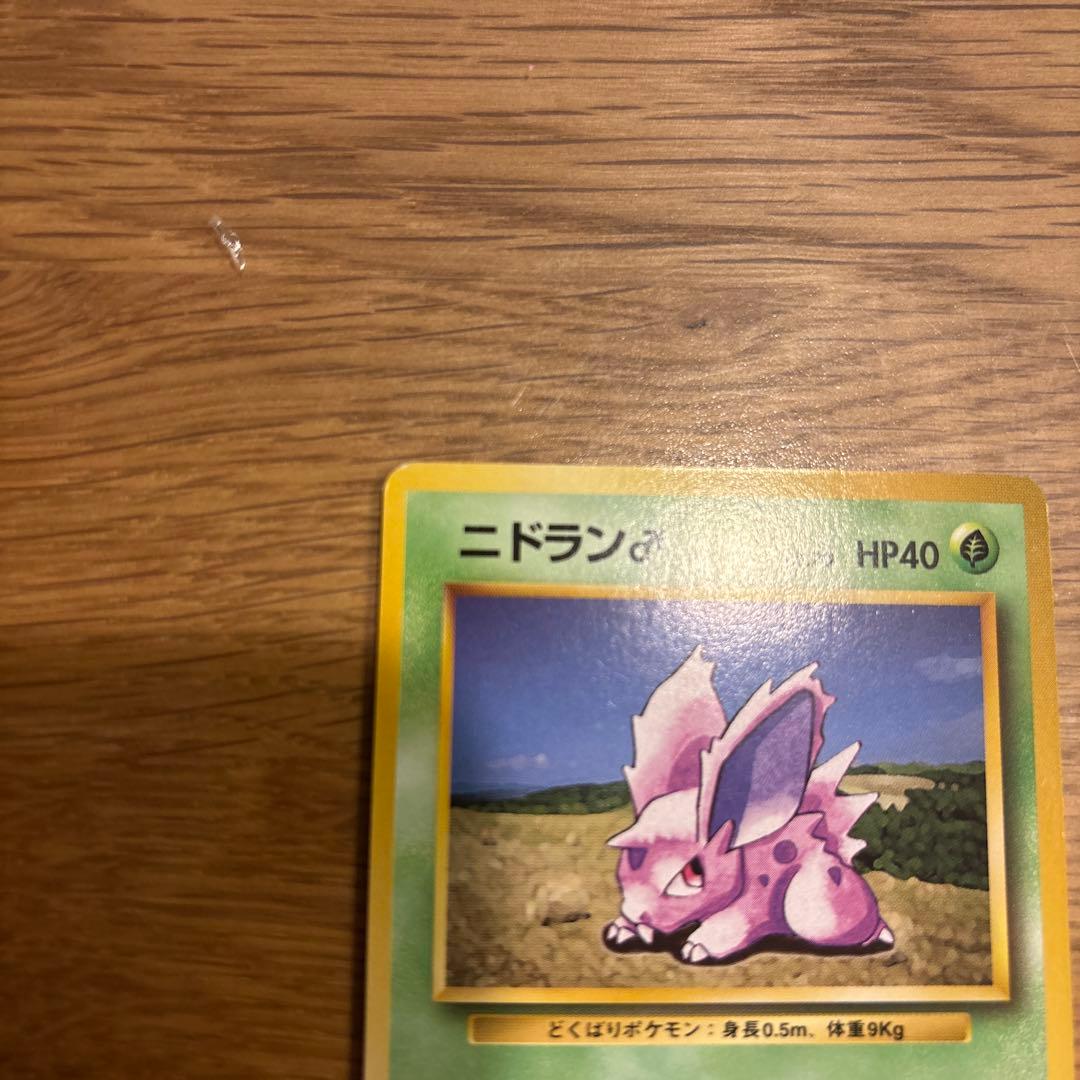 初版ニドラン♂ 第1弾拡張パックマーク無し
