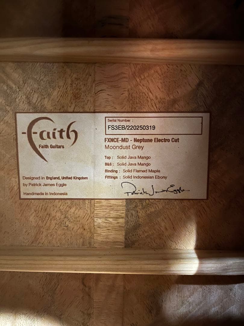 ギター Faith FX Neptune Moondust Grey