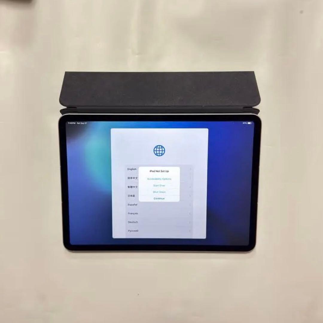 iPad Pro 11インチ 第3世代 256GB MHW83J/A セルラー