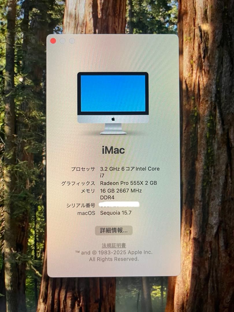 Apple iMac 2019 21.5インチ i5 16GB 付属品あり