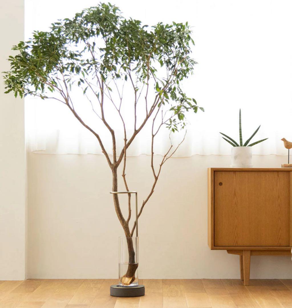 EDA VASE 【SiKiTO】