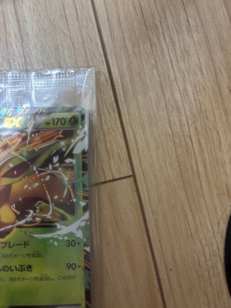 リーフィアEX プロモ未開封　さいとうなおき