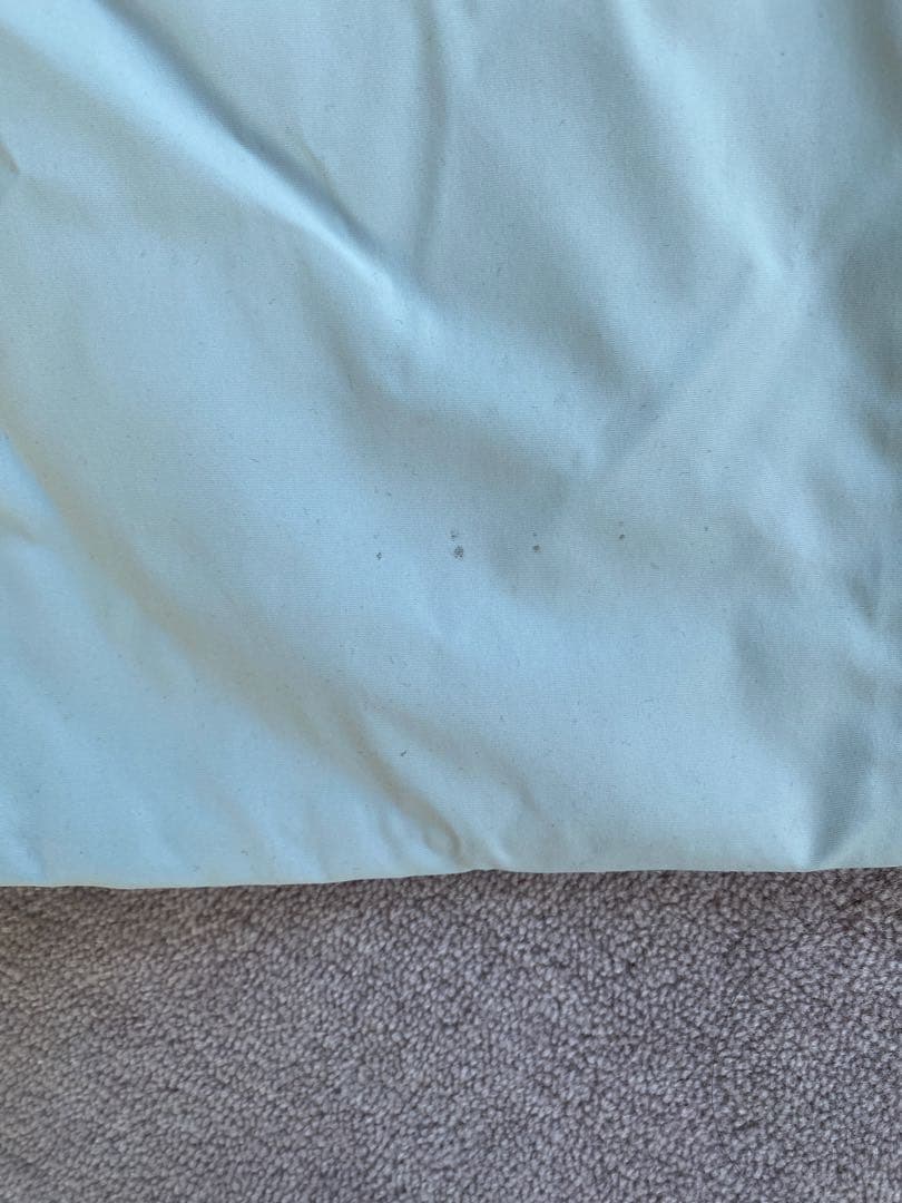 Goldwin レディース スキーウェア Mサイズ