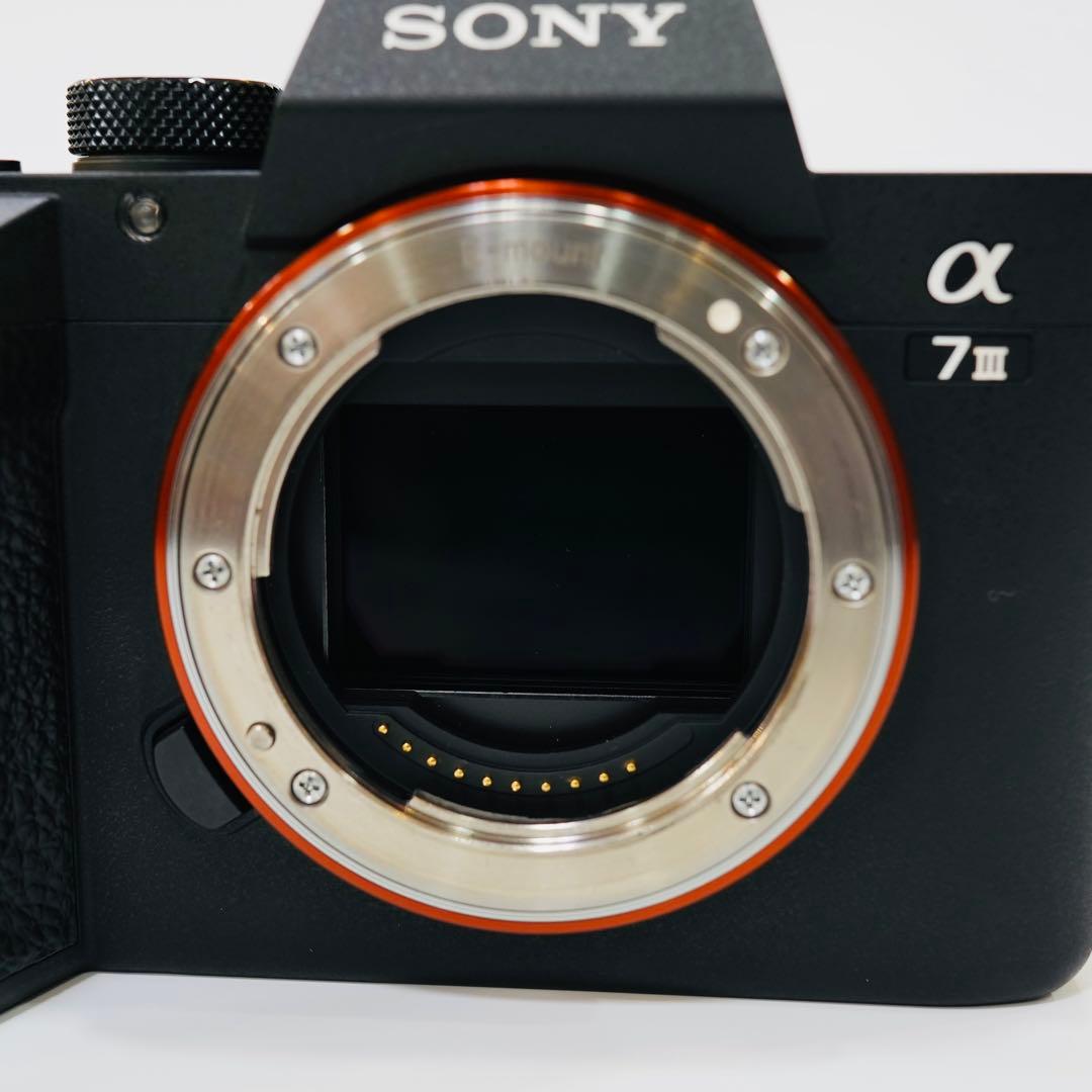 SONY ILCE-7M3本体 α7 III