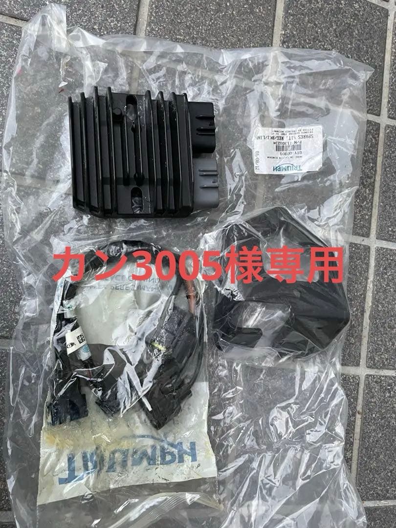 トライアンフ　デイトナ675前期　2006年〜レギュレータ　ステー付き