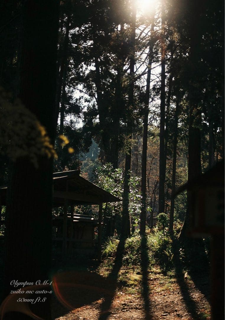 入門に★OLYMPUS OM-1/レンズセット★作例多数＊初期保証＊美品＊完動品