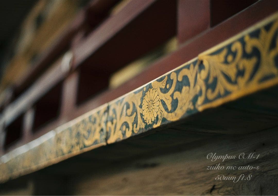 入門に★OLYMPUS OM-1/レンズセット★作例多数＊初期保証＊美品＊完動品