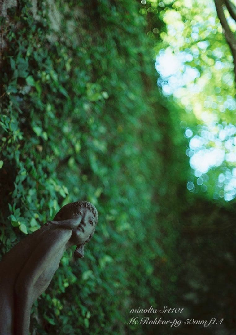 ★超美品・完動品★ミノルタsrt 101／翠のロッコールf1.4★初期保証