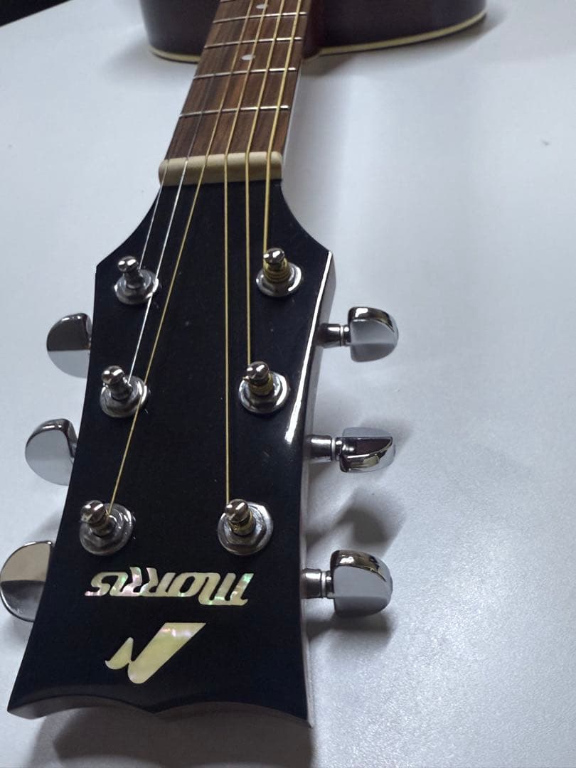 Morris G-51 アコースティックギター