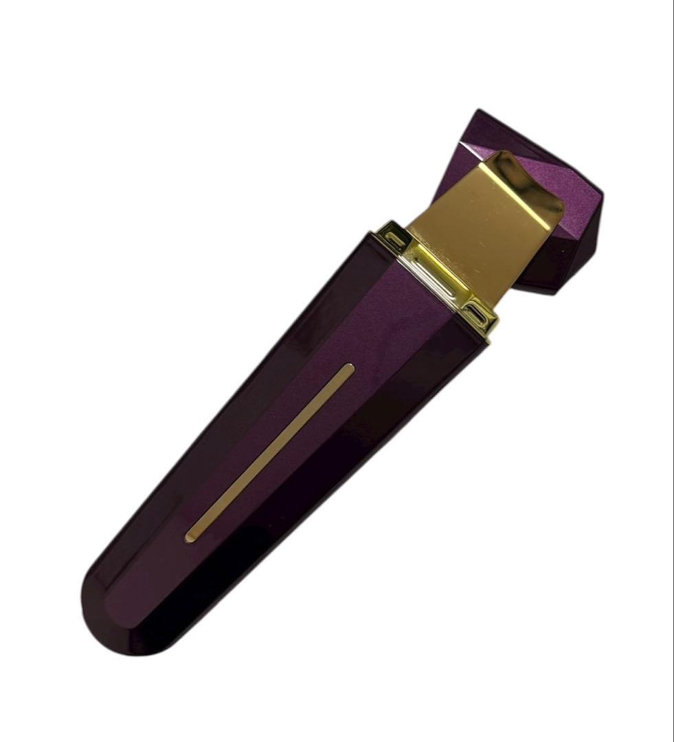 ANLAN 美顔器 パープル 多機能