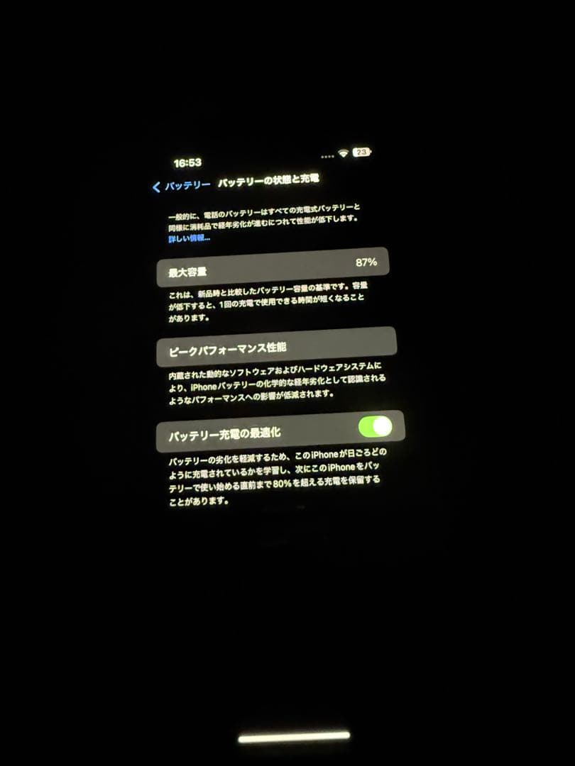 Apple iPhone 13 Pro Maxグラファイト　256GB 本体