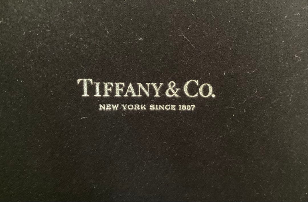 専用！本物【美品】Tiffanyティファニー ハードウェア スモール ネックレス