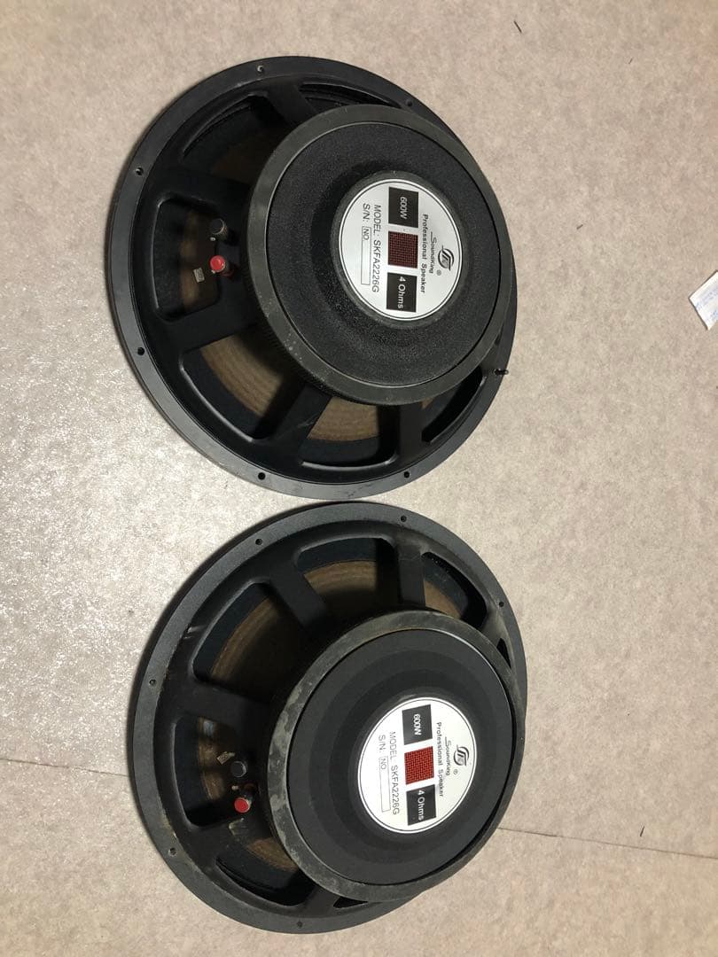 サウンドキング MODEL:SKFA2226G 600W 音出し確認済み