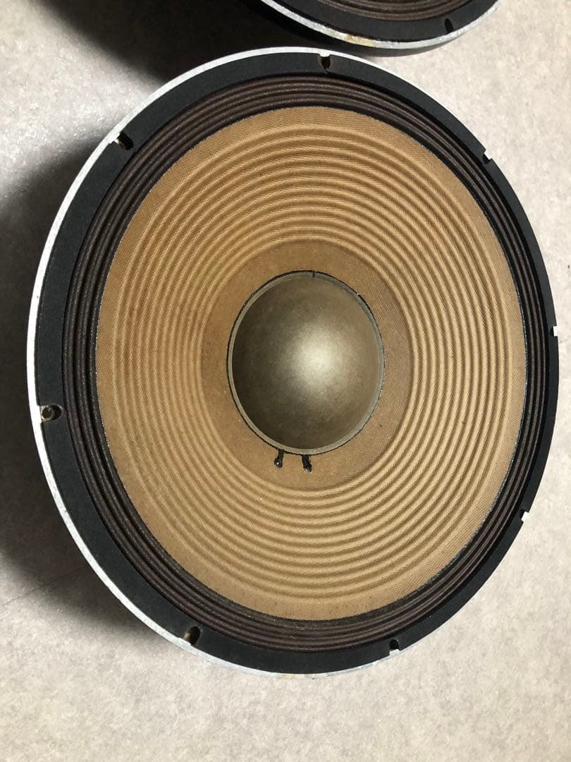 サウンドキング MODEL:SKFA2226G 600W 音出し確認済み