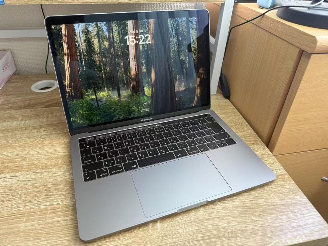 MacBook本体 Macbook Pro i5 16G SSD500 A1989 2019C
