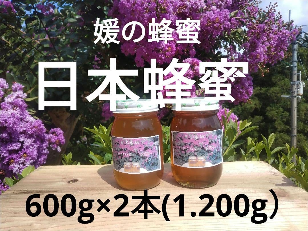 純粋日本蜂蜜、百花蜜、愛媛県産、600g×2本瓶入り