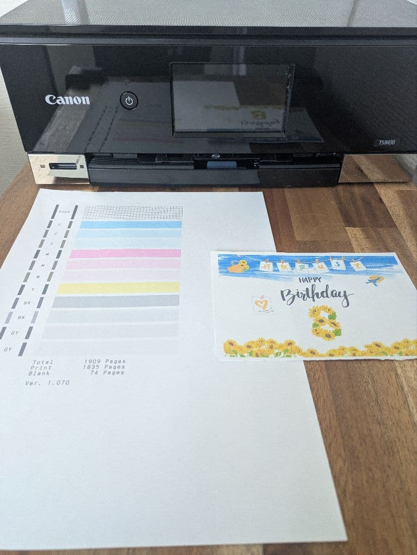 Canon PIXUS TS8430 印刷枚数 1910枚 管N8017